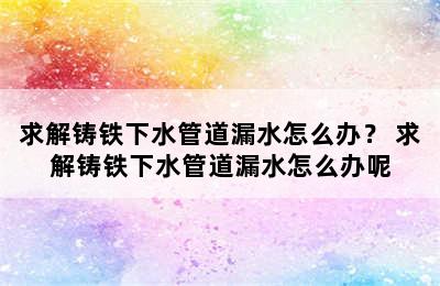 求解铸铁下水管道漏水怎么办？ 求解铸铁下水管道漏水怎么办呢